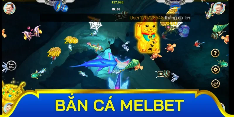 Cách tham gia chơi bắn cá Melbet