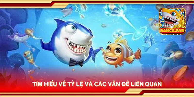 Tìm hiểu về tỷ lệ và các vấn đề liên quan
