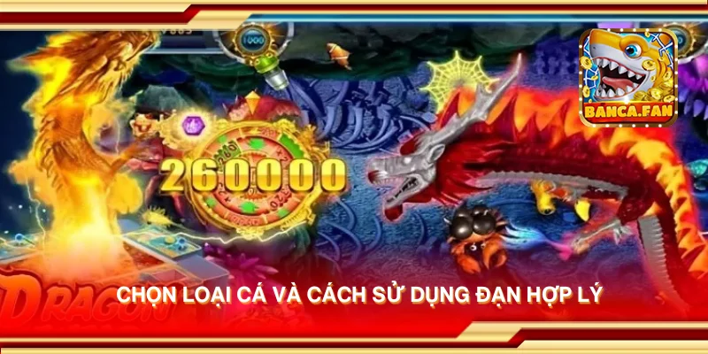 Chọn loại cá và cách sử dụng đạn hợp lý