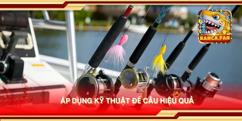 Áp dụng kỹ thuật để câu hiệu quả