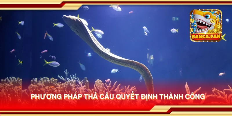 Phương pháp thả câu quyết định thành công