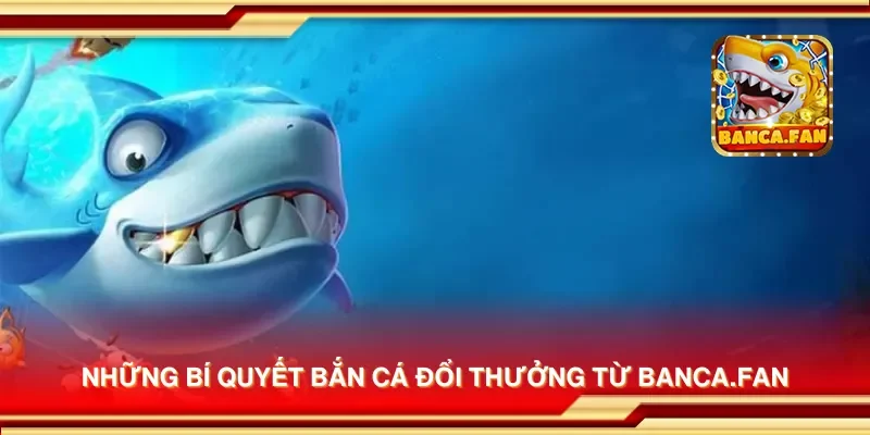 Những bí quyết bắn cá đổi thưởng từ mailvfla.co.com