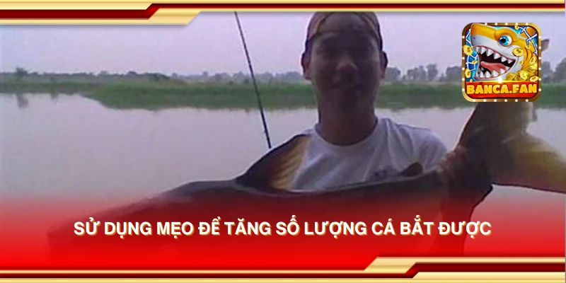 Sử dụng mẹo để tăng số lượng cá bắt được