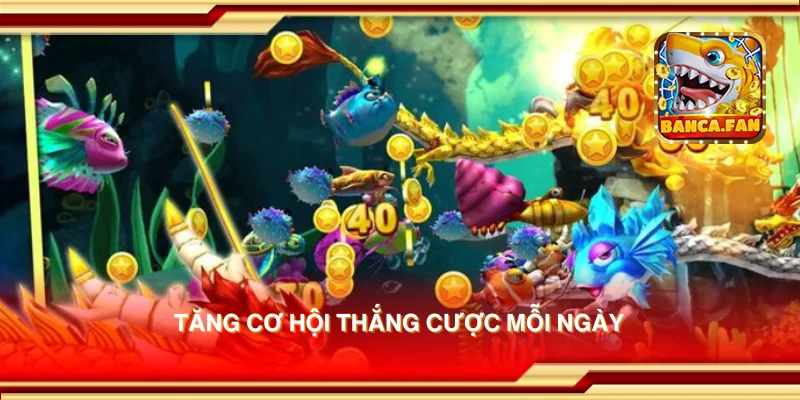 Tăng cơ hội thắng cược mỗi ngày