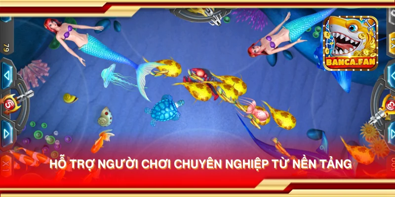 Hỗ trợ người chơi chuyên nghiệp từ nền tảng