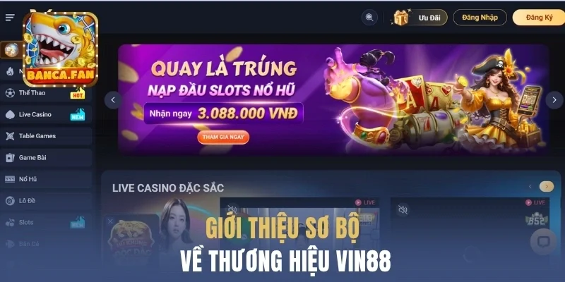 Giới thiệu sơ bộ thông tin về thương hiệu Vin88